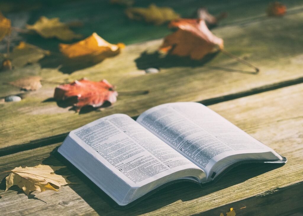 Salvation bible, book, pages, open, reading, open bible, bible reading, bible study, chapters, psalms, religion, faith, bible, bible, bible, bible, bible, book